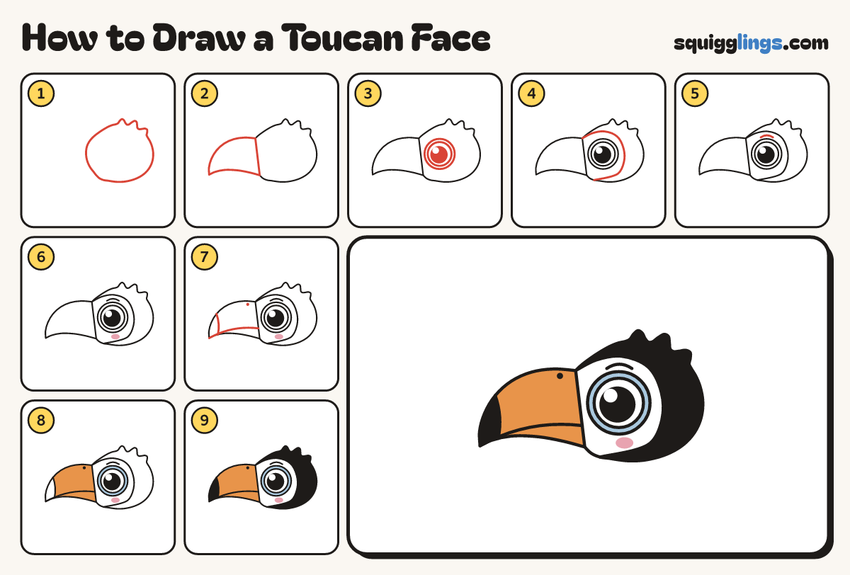 How to Draw a Toucan Face step by step: all 9 steps in one picture