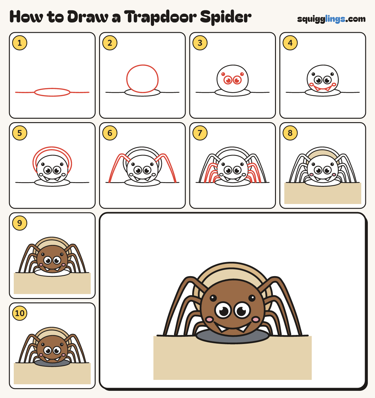 How to Draw a Trapdoor Spider step by step: all 10 steps in one picture