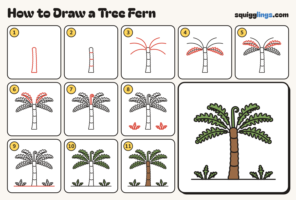 How to Draw a Tree Fern step by step: all 11 steps in one picture