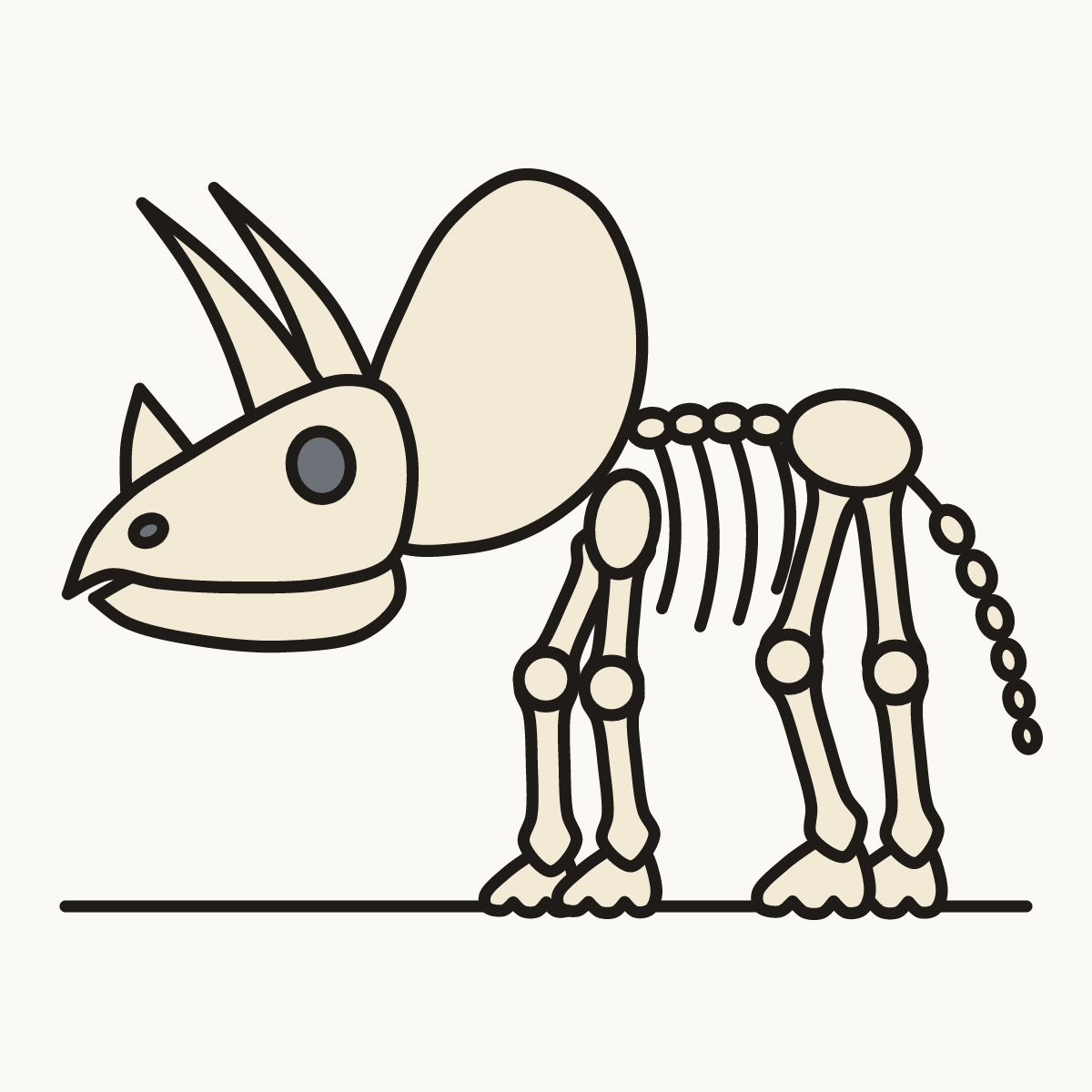Finished drawing of a triceratops skeleton