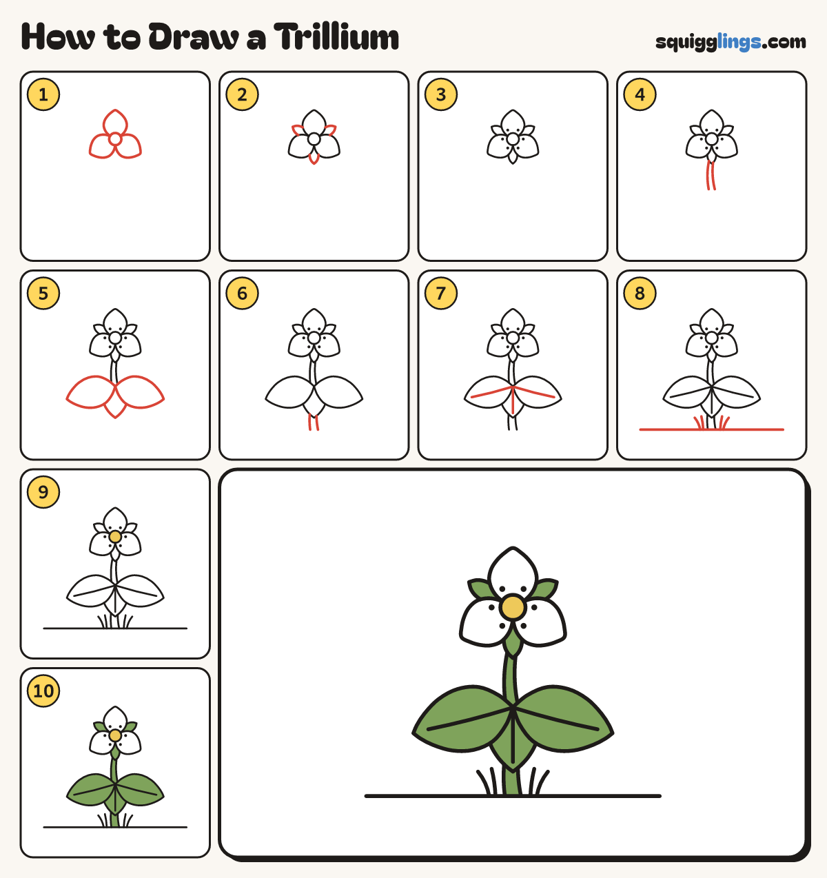How to Draw a Trillium step by step: all 10 steps in one picture