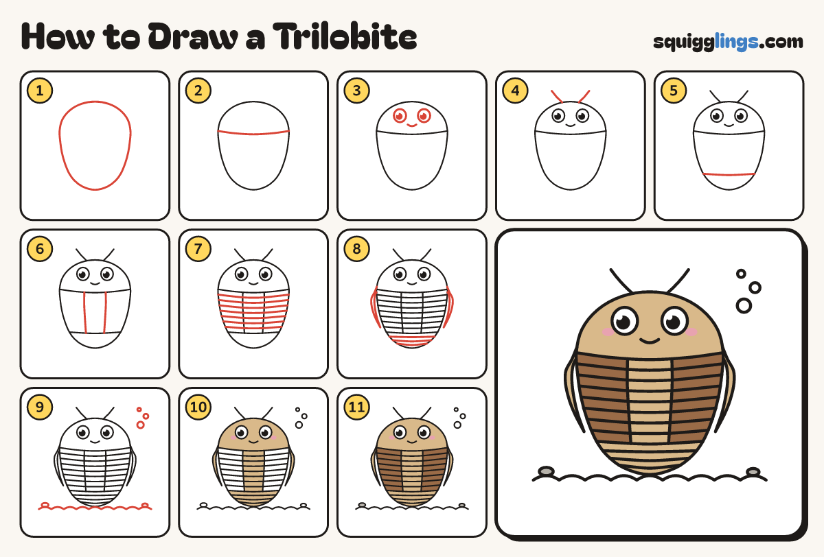 How to Draw a Trilobite step by step: all 11 steps in one picture
