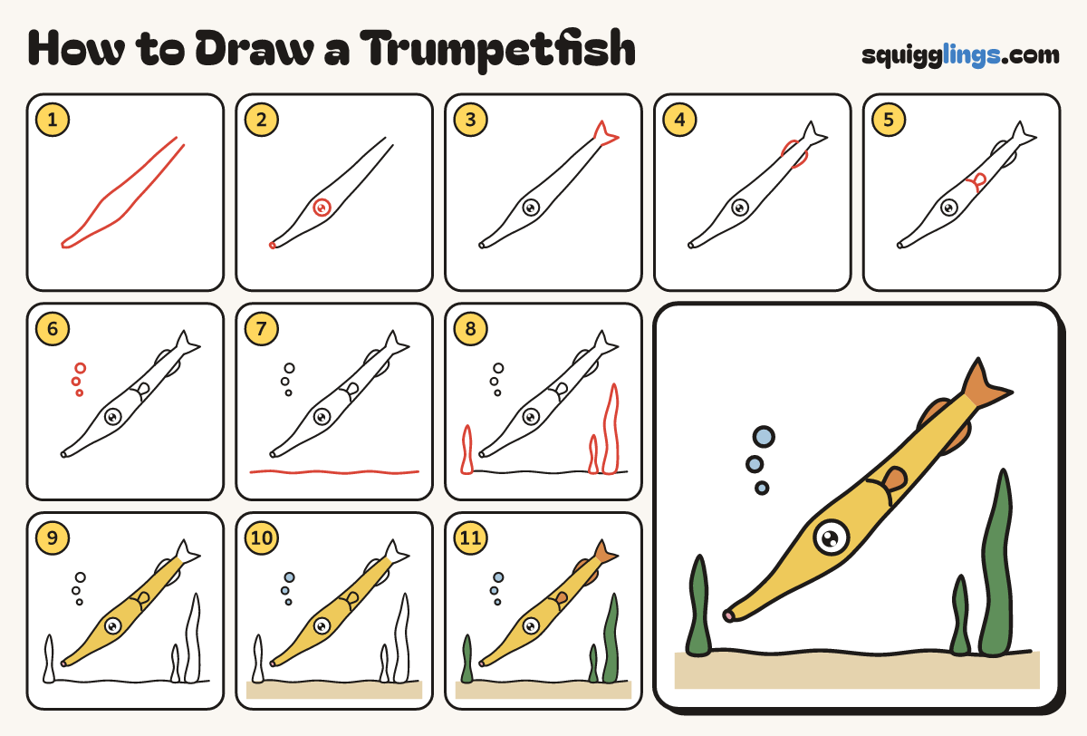 How to Draw a Trumpetfish step by step: all 11 steps in one picture