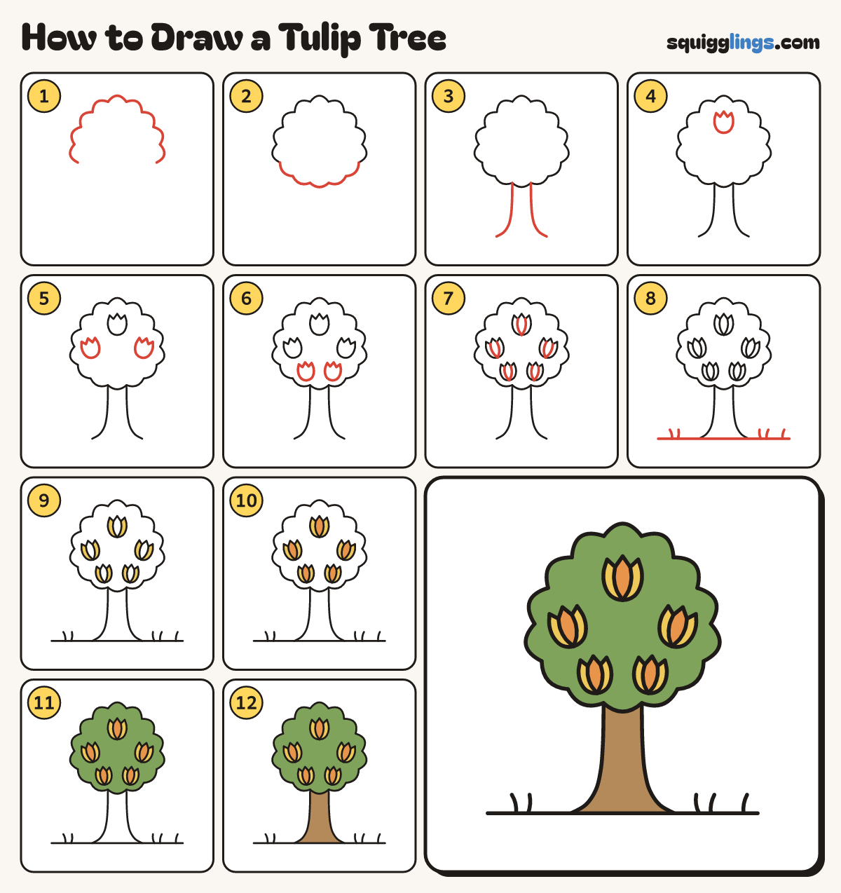How to Draw a Tulip Tree step by step: all 12 steps in one picture