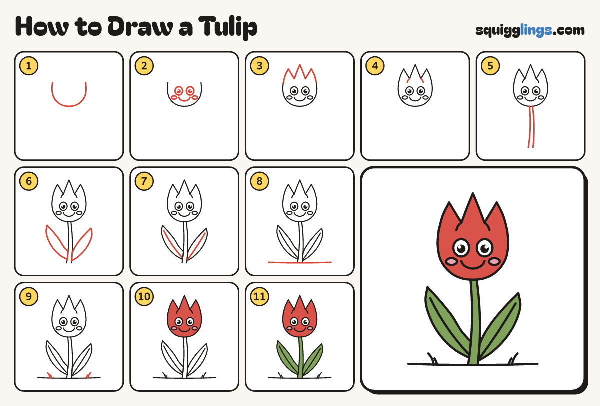 How to Draw a Tulip step by step: all 11 steps in one picture