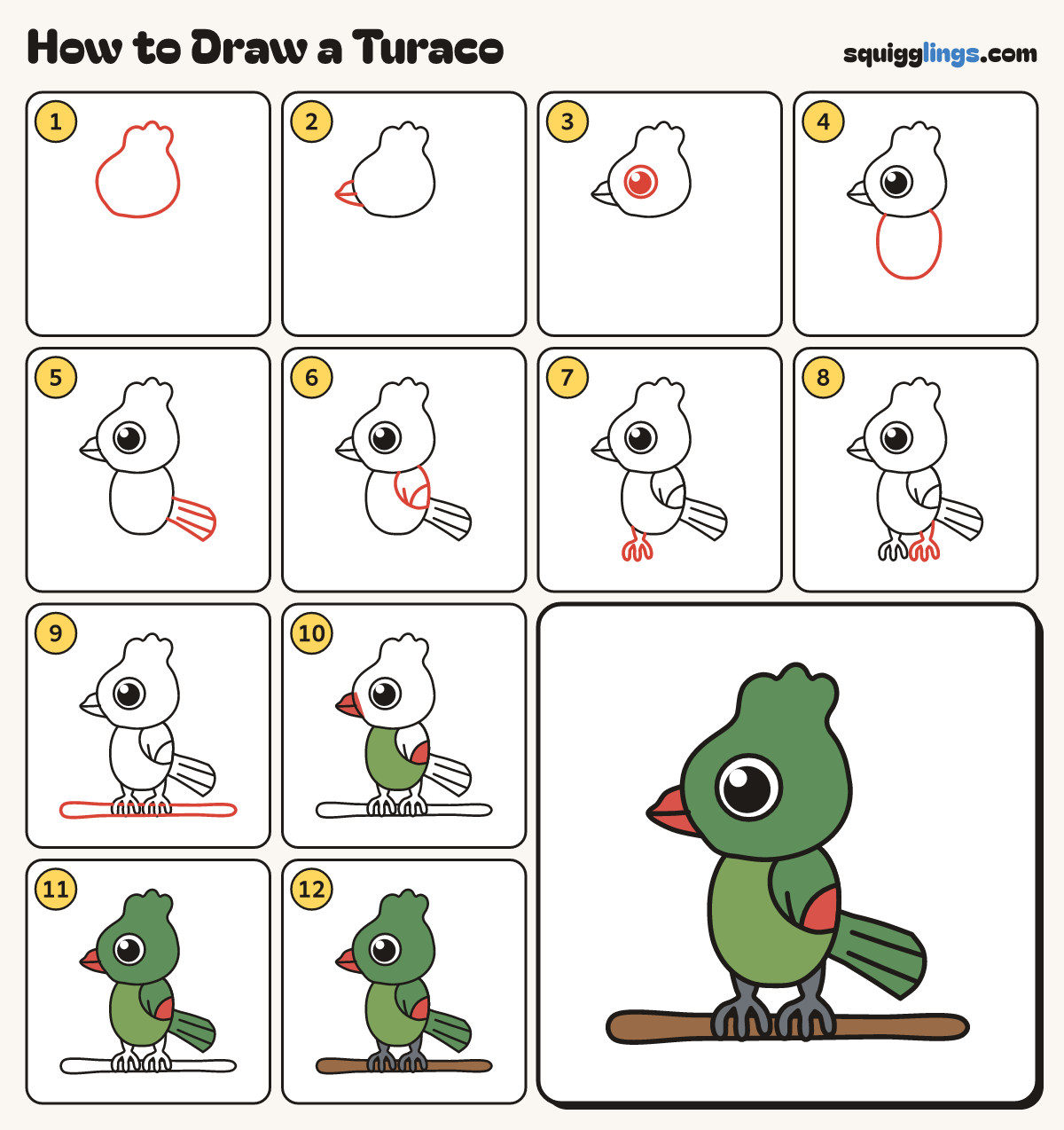 How to Draw a Turaco step by step: all 12 steps in one picture