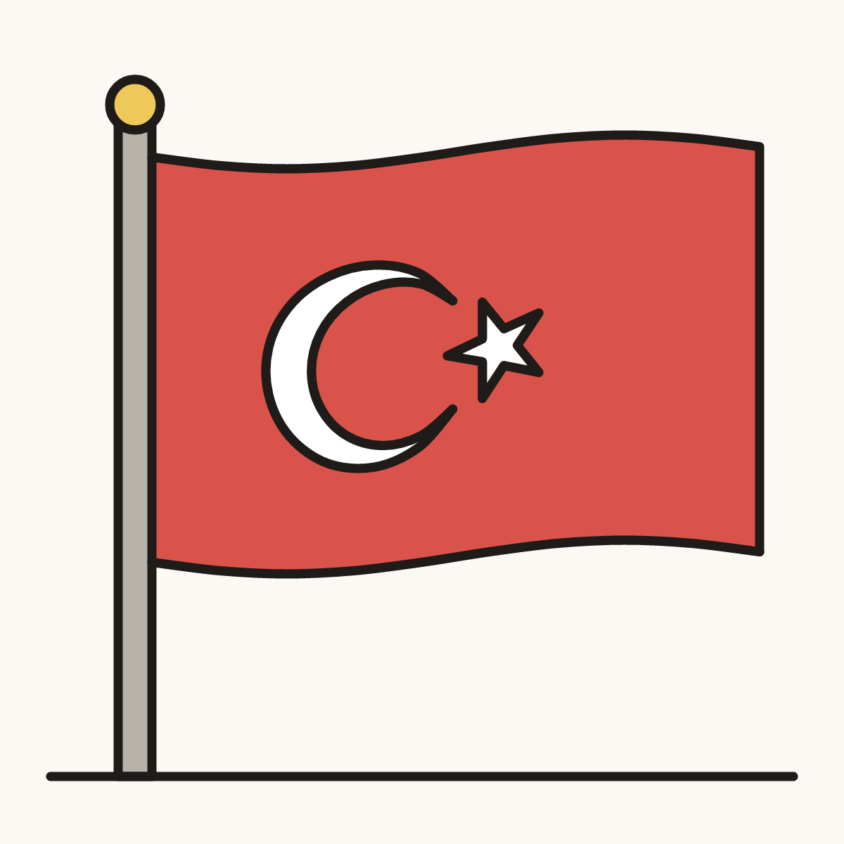 Finished drawing of a turkey flag
