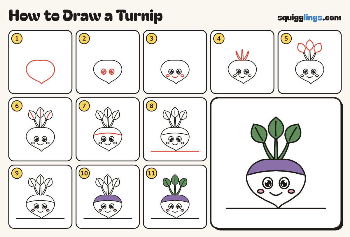 How to Draw a Turnip step by step: all 11 steps in one picture