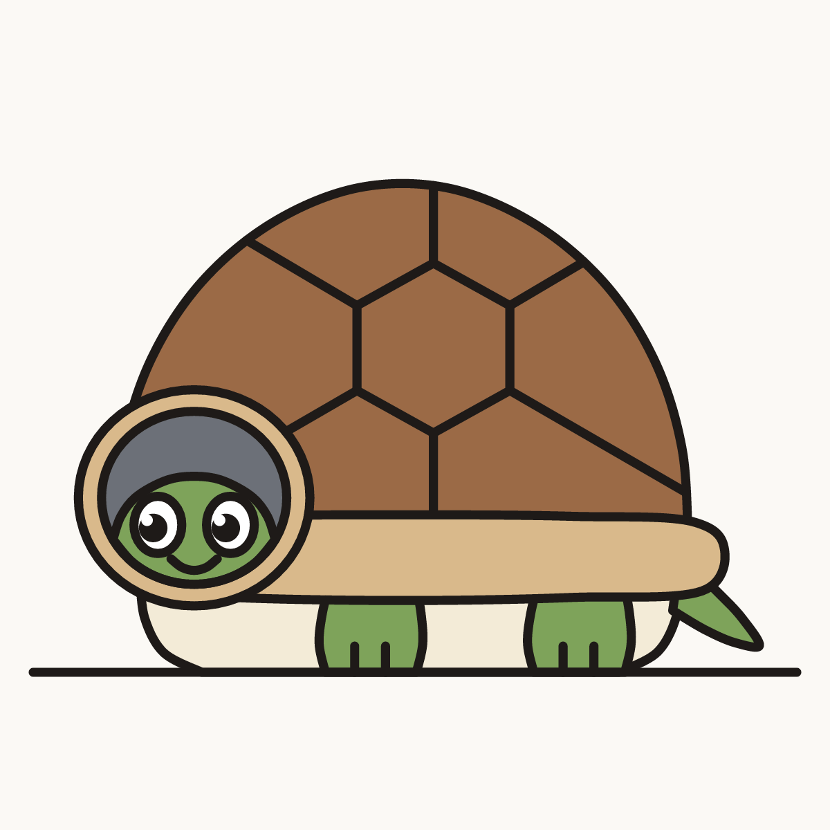 Finished drawing of a turtle hiding in its shell