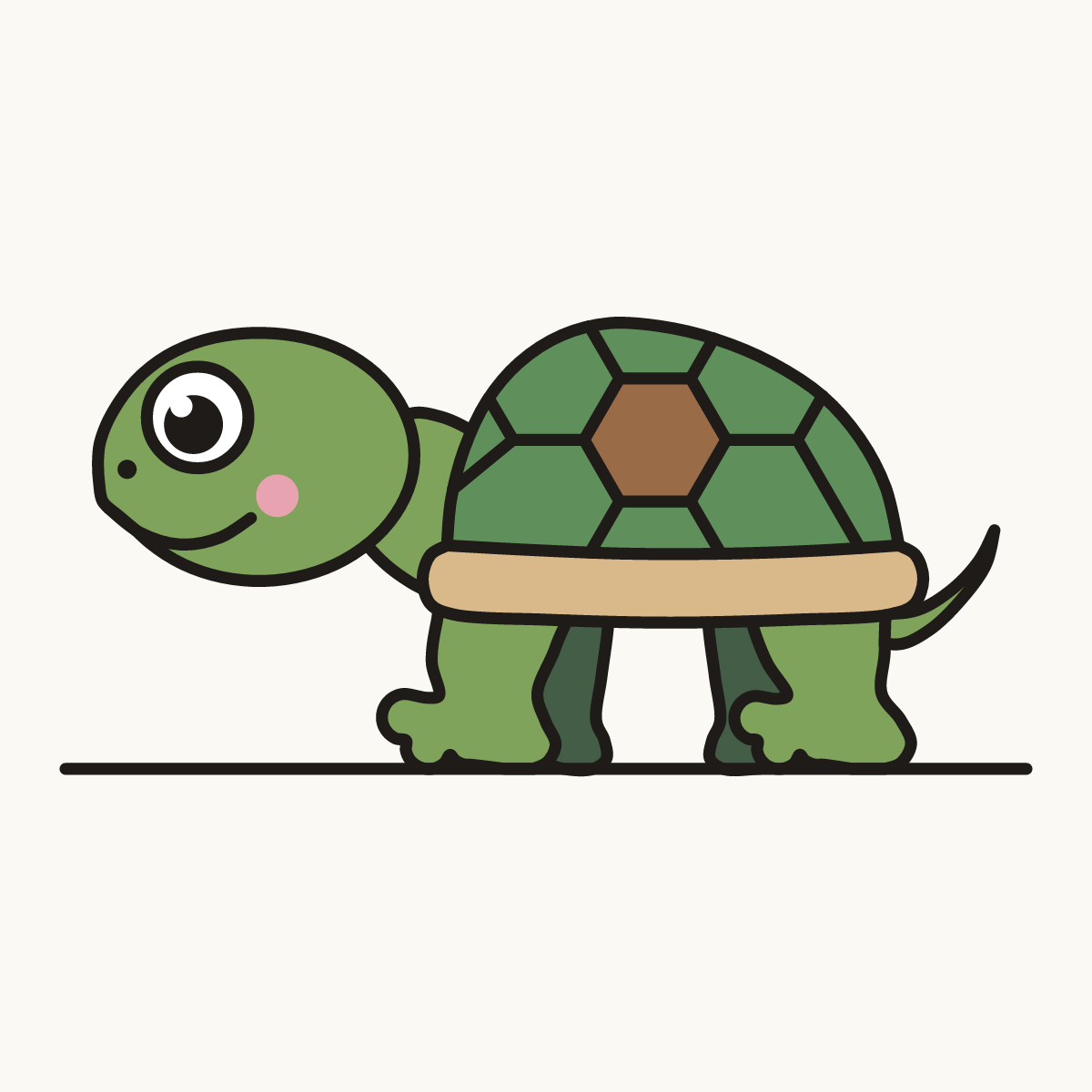 Finished drawing of a turtle
