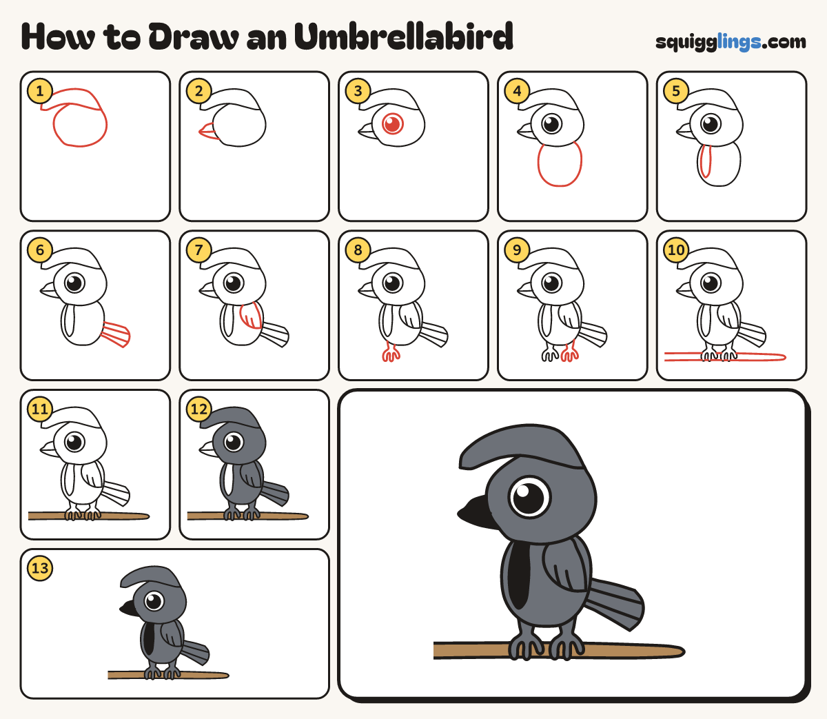 How to Draw an Umbrellabird step by step: all 13 steps in one picture