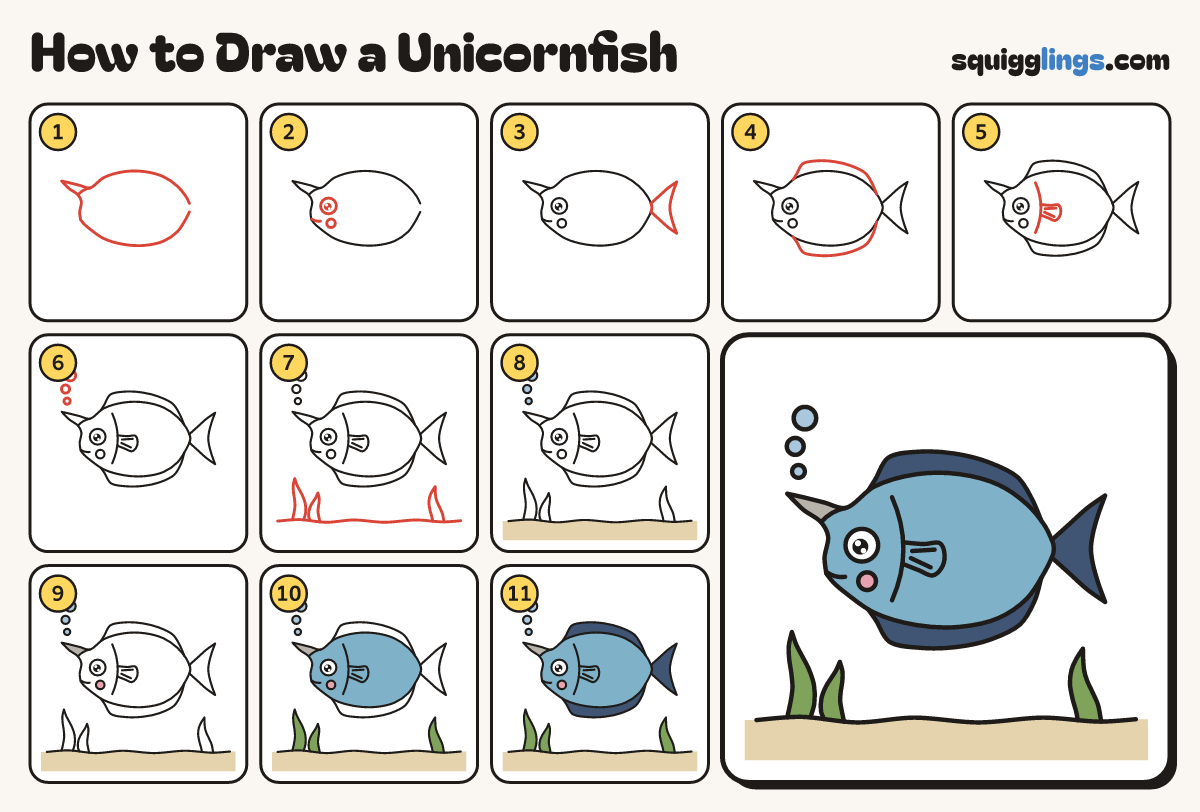 How to Draw a Unicornfish step by step: all 11 steps in one picture