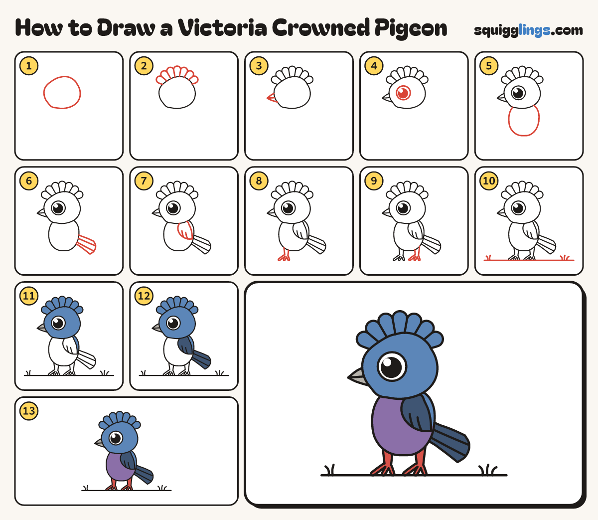 How to Draw a Victoria Crowned Pigeon step by step: all 13 steps in one picture