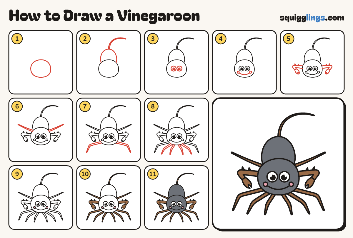 How to Draw a Vinegaroon step by step: all 11 steps in one picture