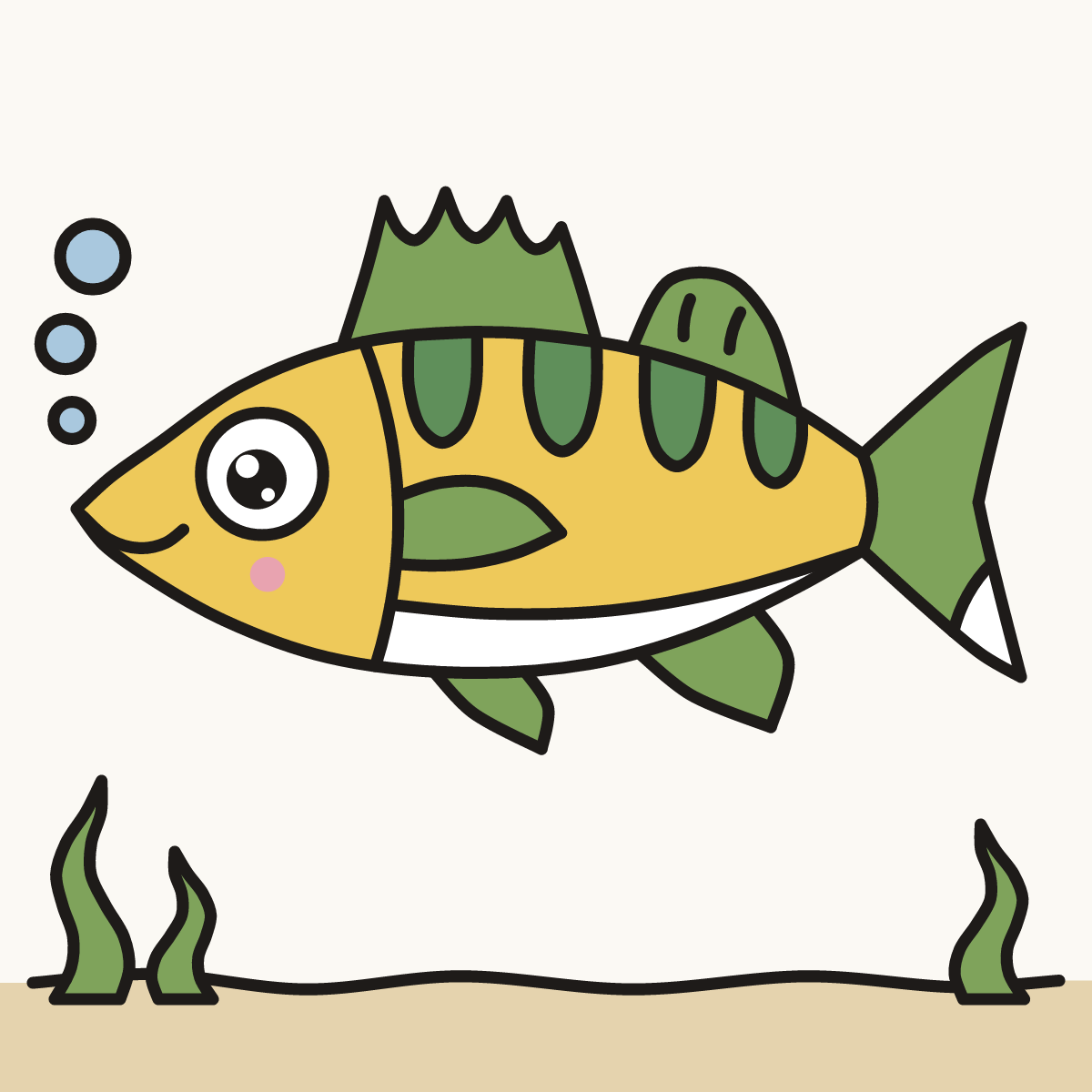 Finished drawing of a walleye