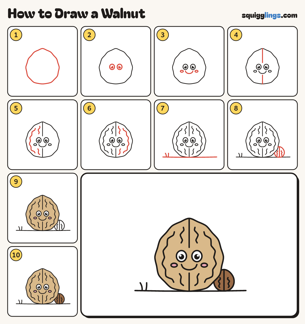How to Draw a Walnut step by step: all 10 steps in one picture