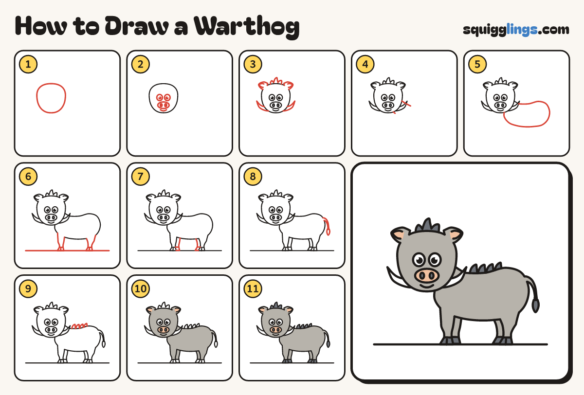 How to Draw a Warthog step by step: all 11 steps in one picture