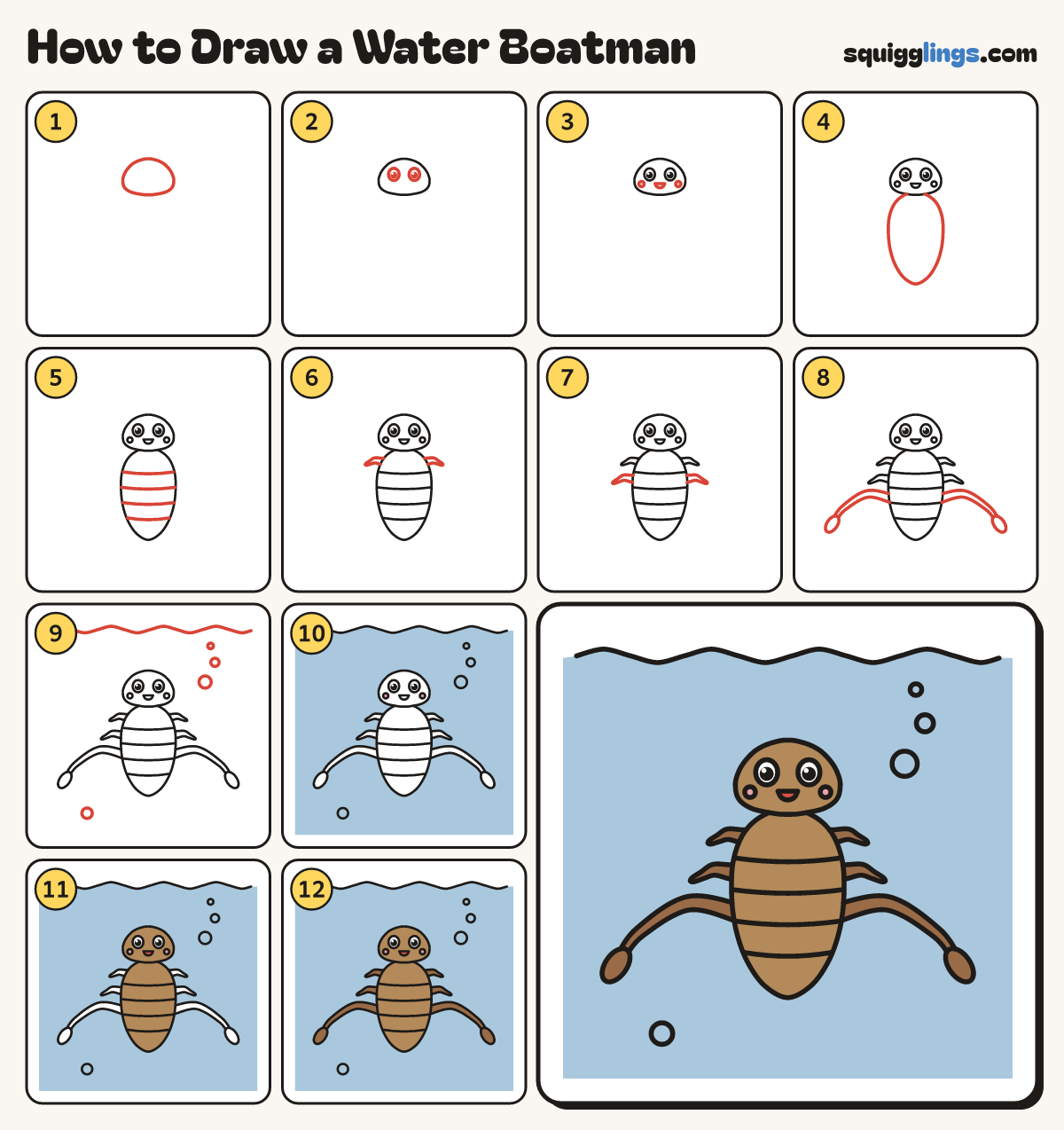 How to Draw a Water Boatman step by step: all 12 steps in one picture