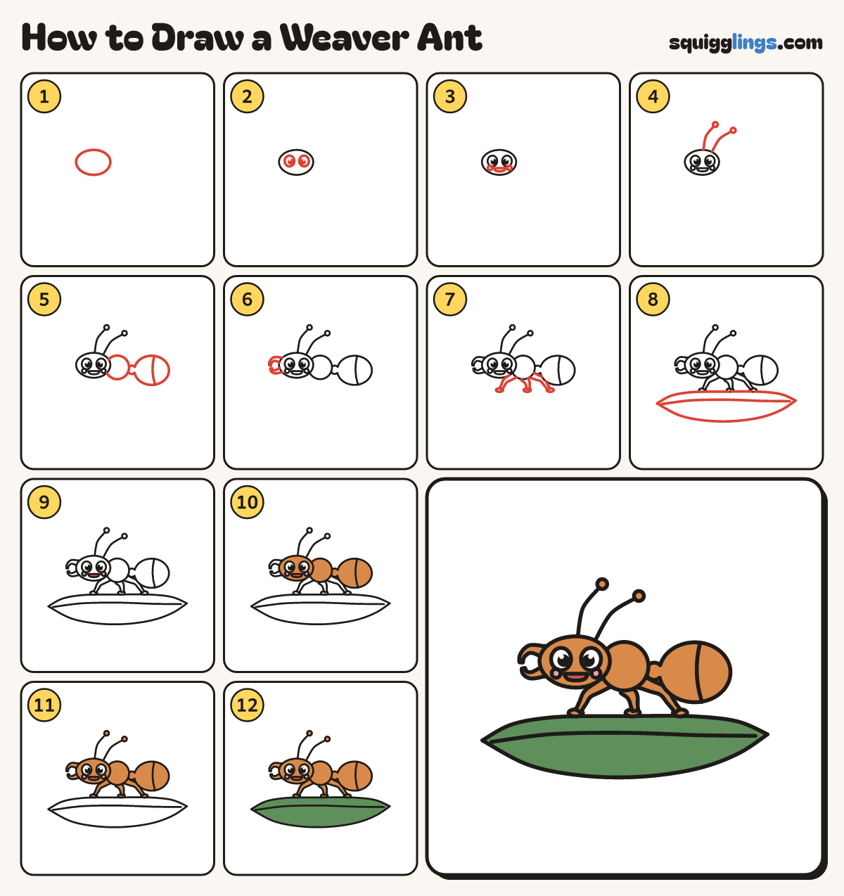 How to Draw a Weaver Ant step by step: all 12 steps in one picture
