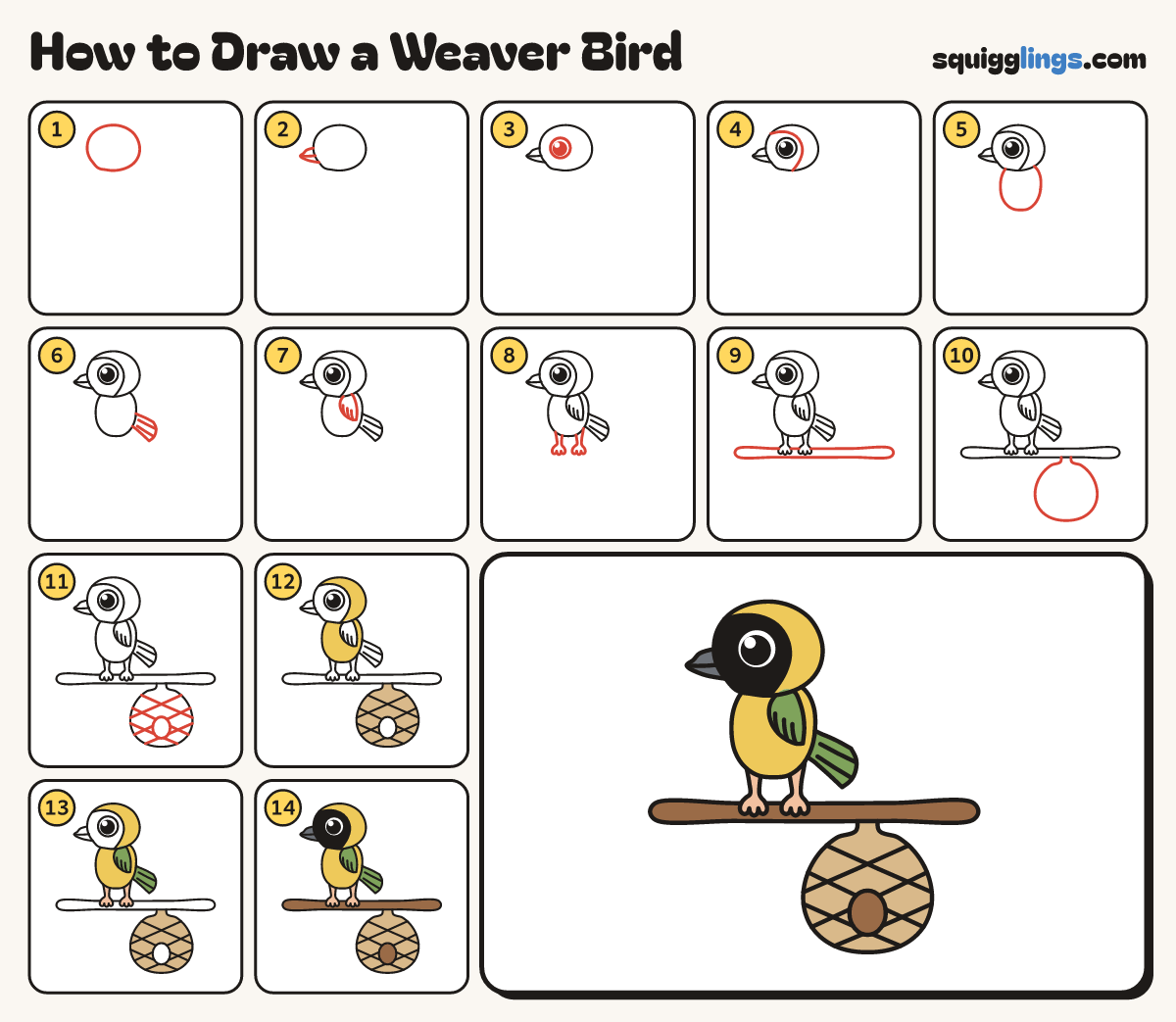 How to Draw a Weaver Bird step by step: all 14 steps in one picture