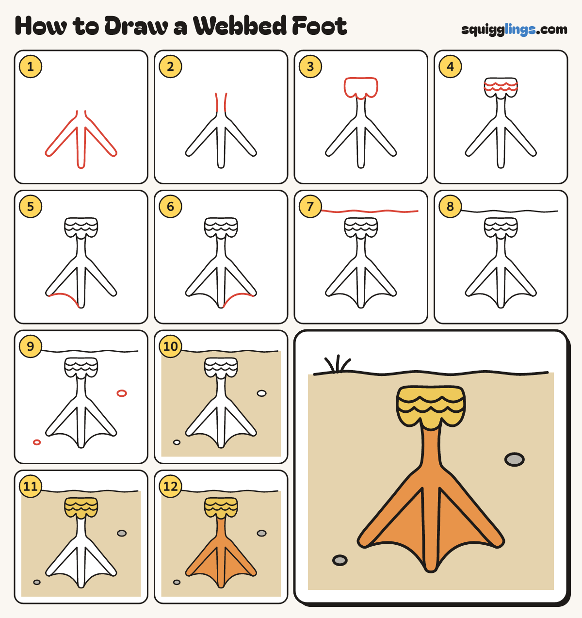 How to Draw a Webbed Foot step by step: all 12 steps in one picture