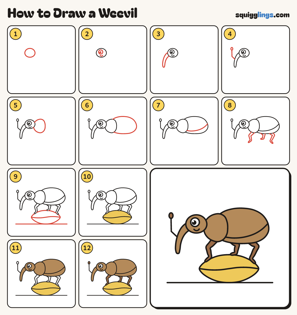 How to Draw a Weevil step by step: all 12 steps in one picture