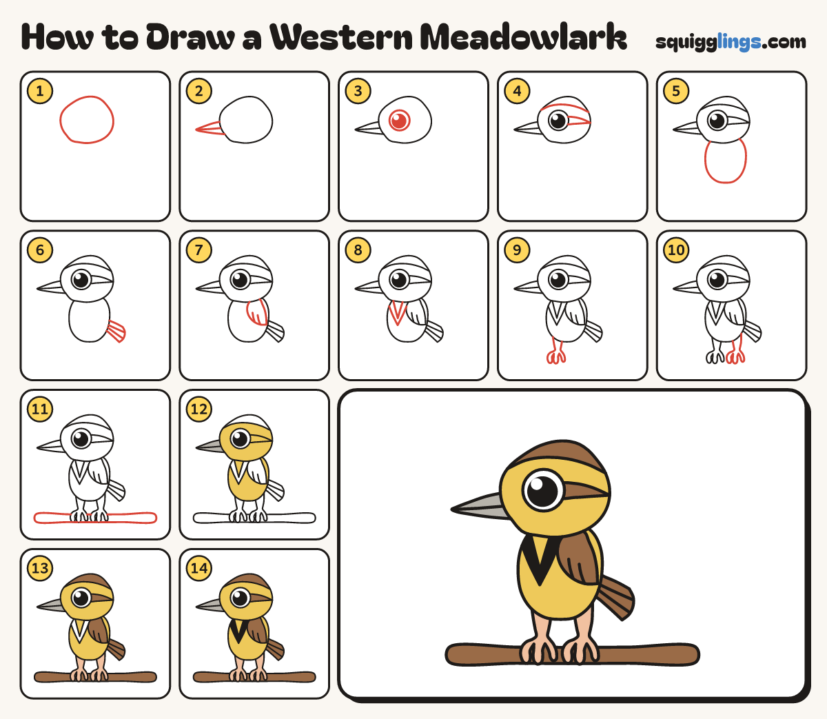How to Draw a Western Meadowlark step by step: all 14 steps in one picture