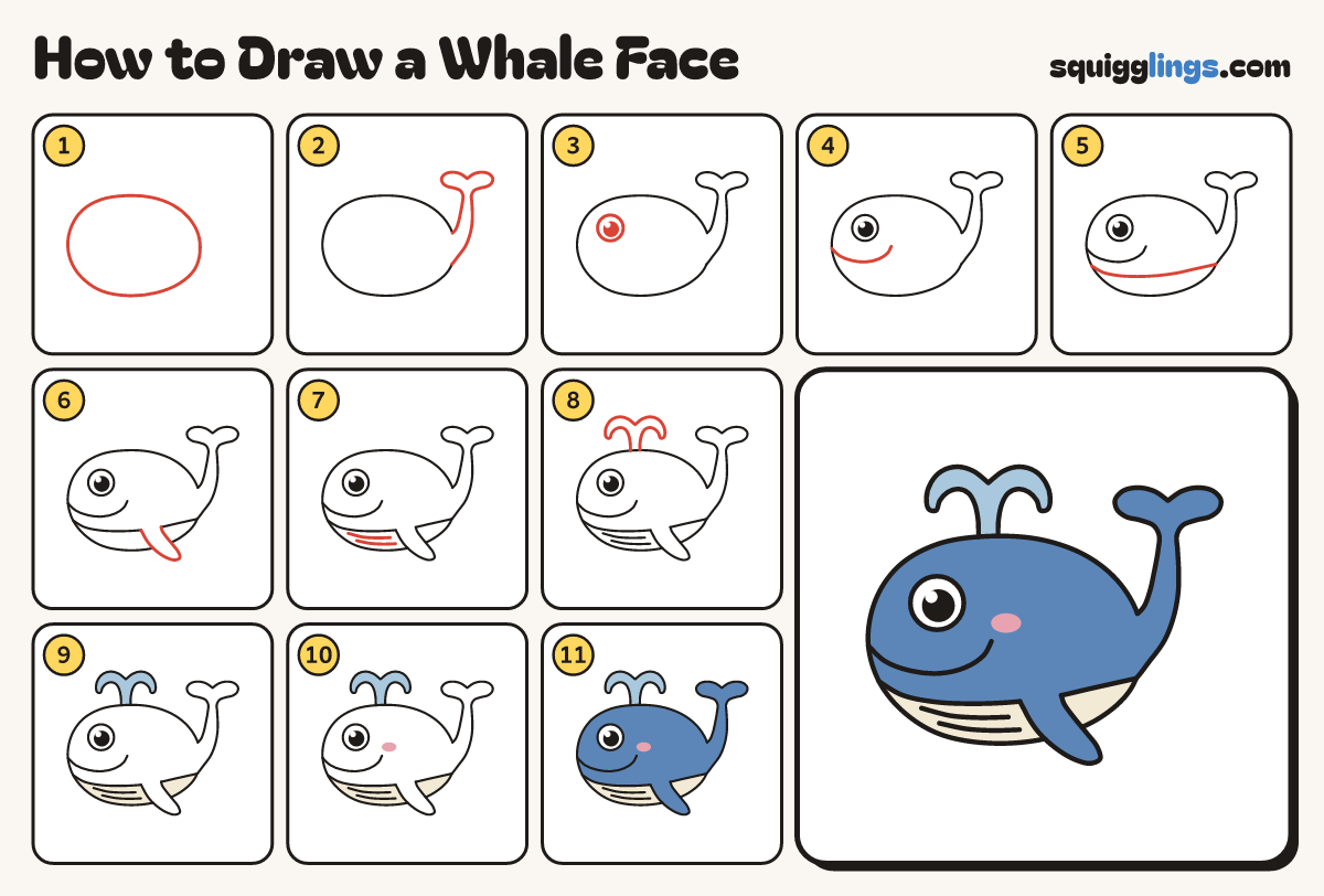 How to Draw a Whale Face step by step: all 11 steps in one picture