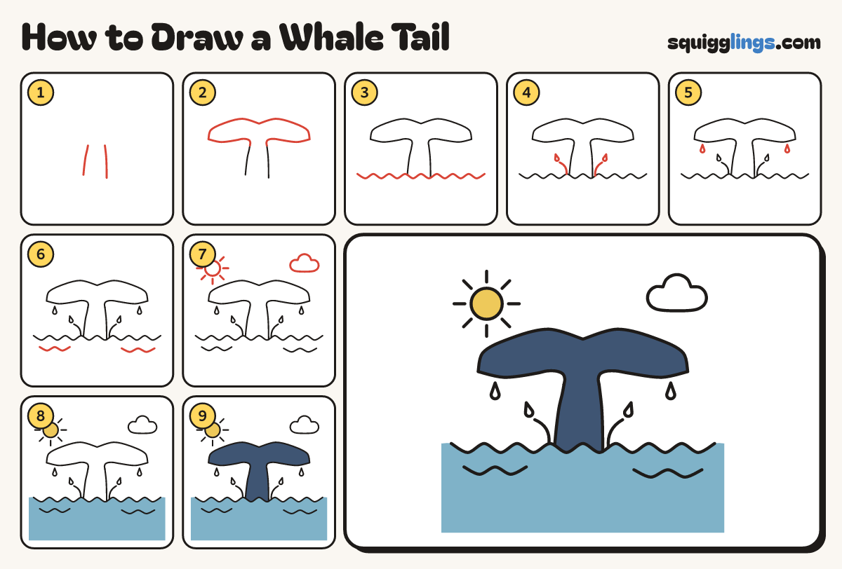 How to Draw a Whale Tail step by step: all 9 steps in one picture