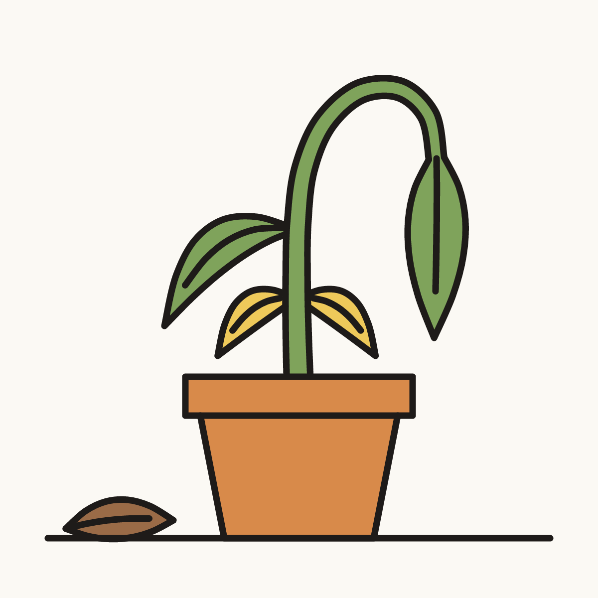 Finished drawing of a wilted plant