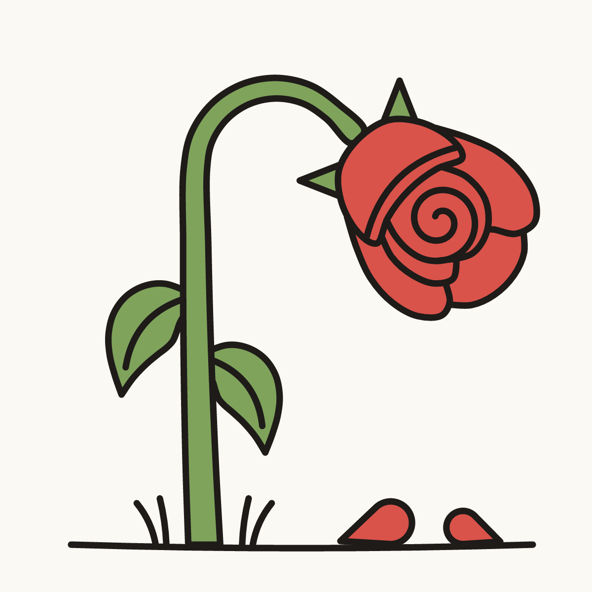 Finished drawing of a wilted rose