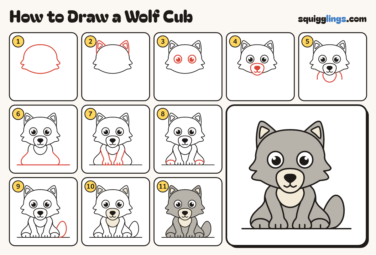 How to Draw a Wolf Cub step by step: all 11 steps in one picture