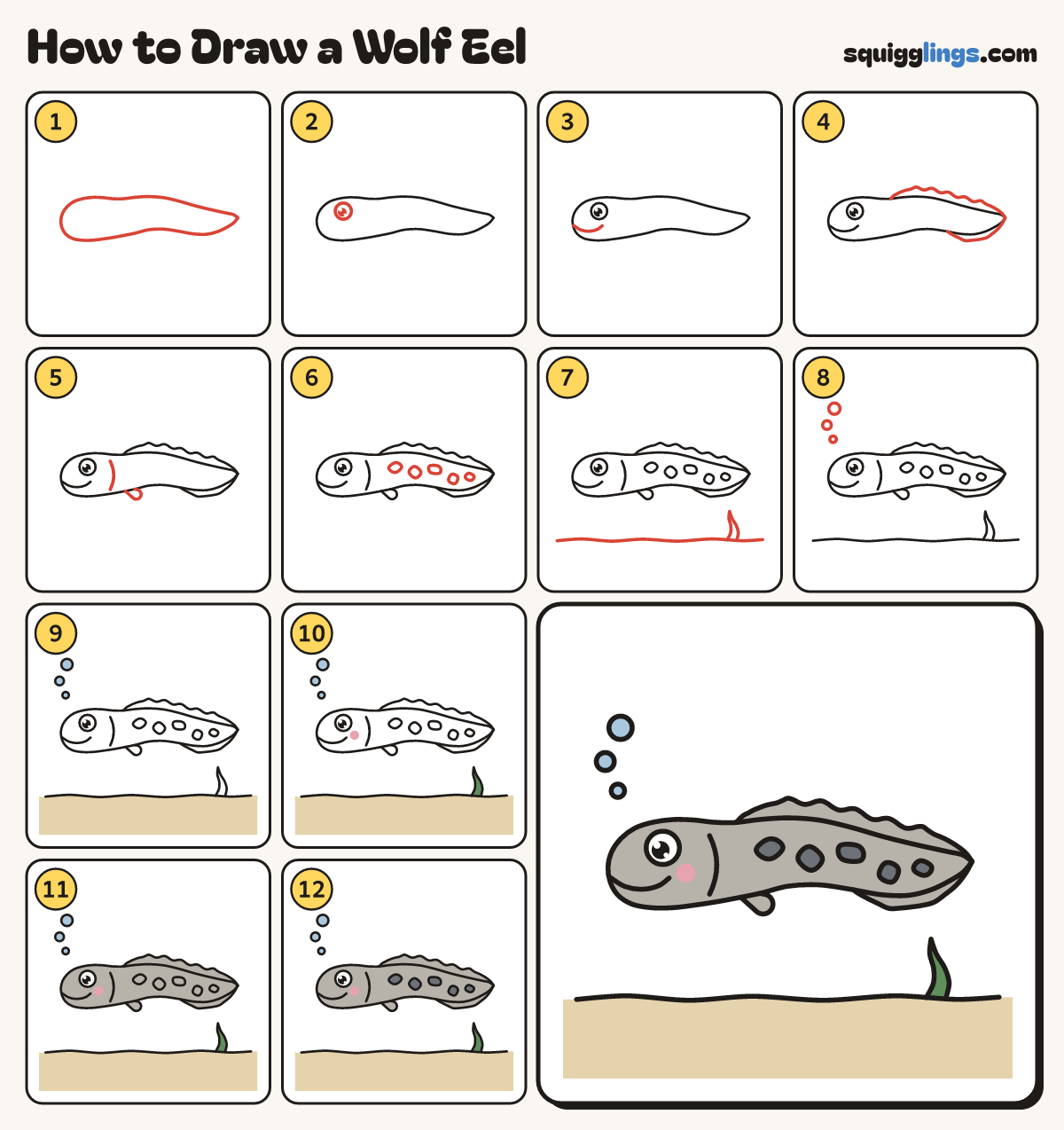 How to Draw a Wolf Eel step by step: all 12 steps in one picture