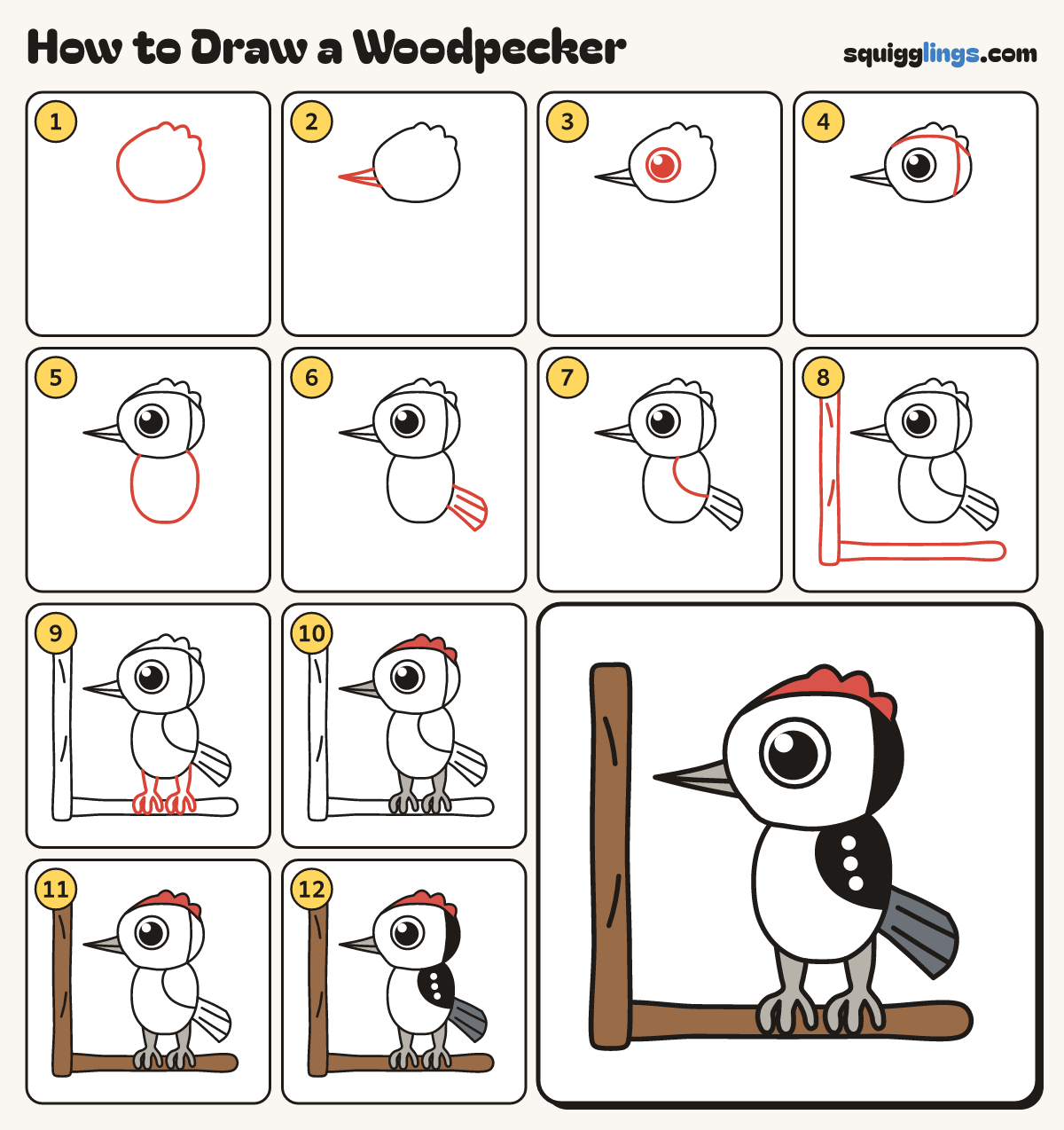 How to Draw a Woodpecker step by step: all 12 steps in one picture