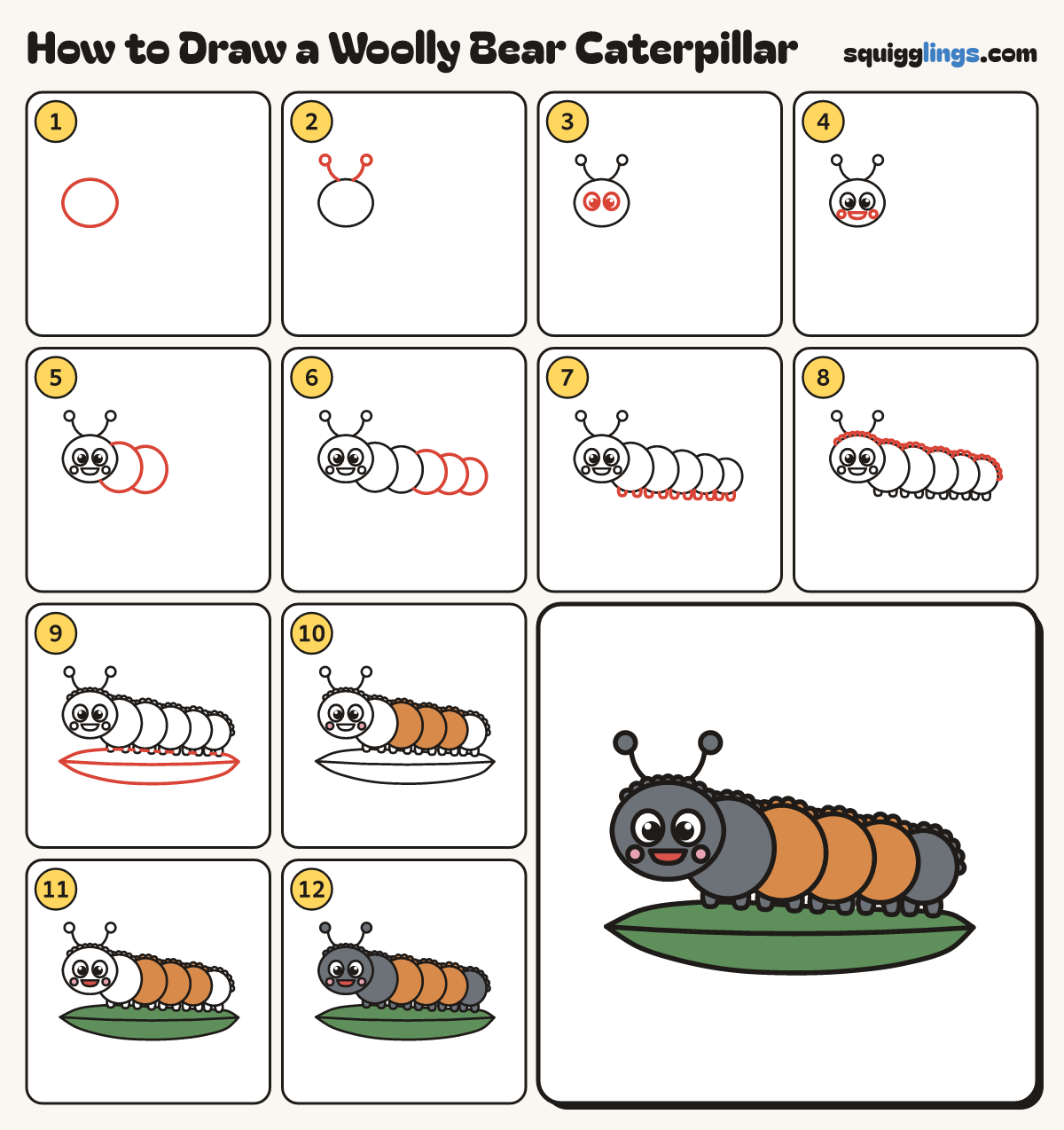 How to Draw a Woolly Bear Caterpillar step by step: all 12 steps in one picture