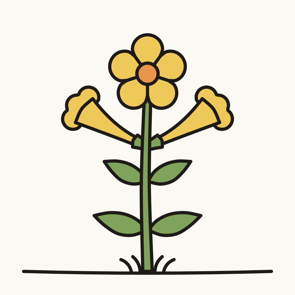 Finished drawing of a yellow jessamine