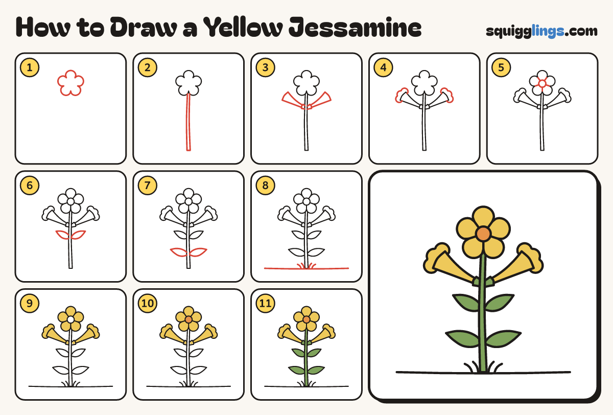 How to Draw a Yellow Jessamine step by step: all 11 steps in one picture