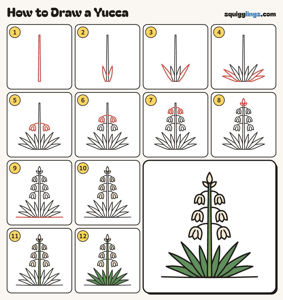 How to Draw a Yucca step by step: all 12 steps in one picture