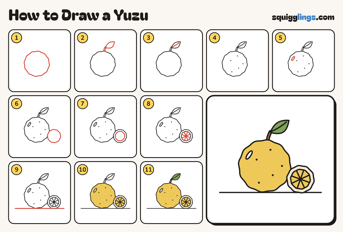 How to Draw a Yuzu step by step: all 11 steps in one picture